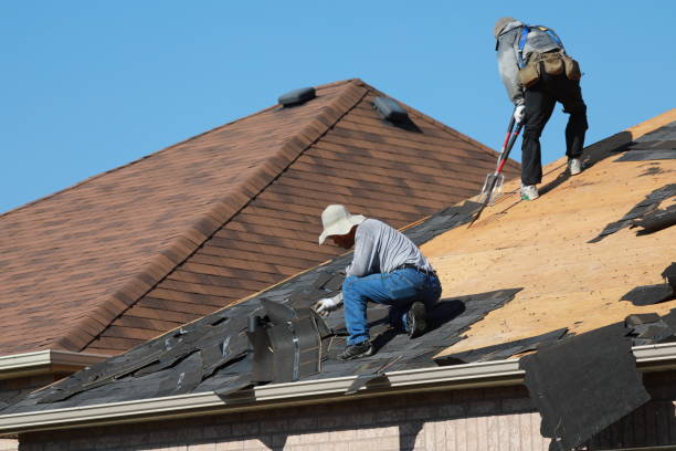 Best Emergency Roof Repair Services  in Park Ridge, IL