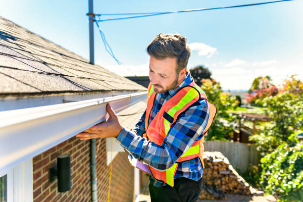 Best Roof Insulation Installation  in Park Ridge, IL
