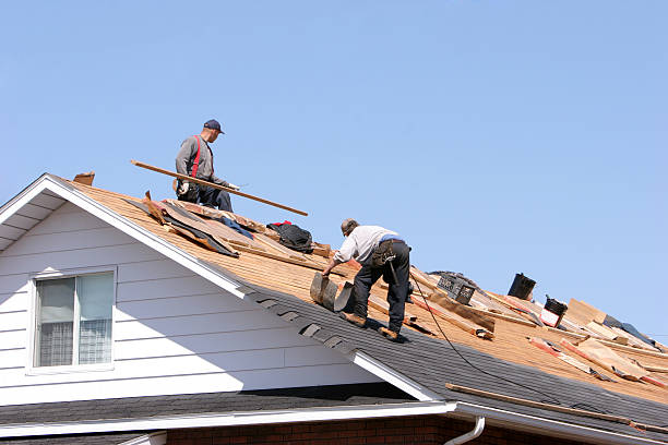Park Ridge, IL  Roofing repair and installation Company