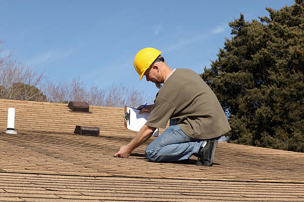 Best Sheet Metal Roofing  in Park Ridge, IL