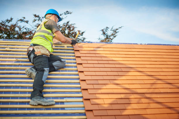 Best Metal Roofing Installation  in Park Ridge, IL