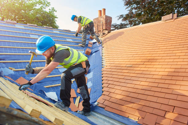 Best Flat Roofing  in Park Ridge, IL